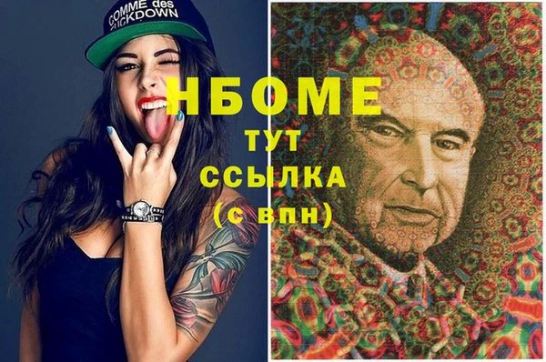 индика Заволжск